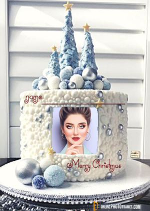 add-photo-on-christmas-cake-with-name-online